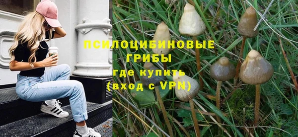 ешки Саяногорск