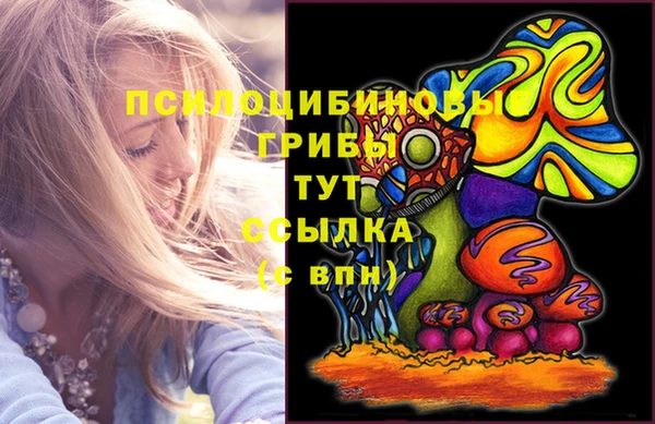 амфетамин Алексеевка